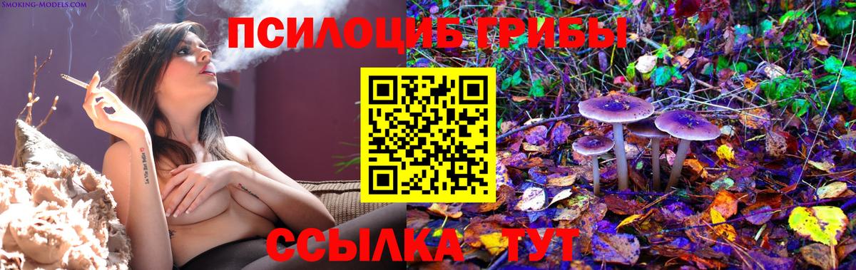 Псилоцибиновые грибы Cubensis Верхняя Пышма
