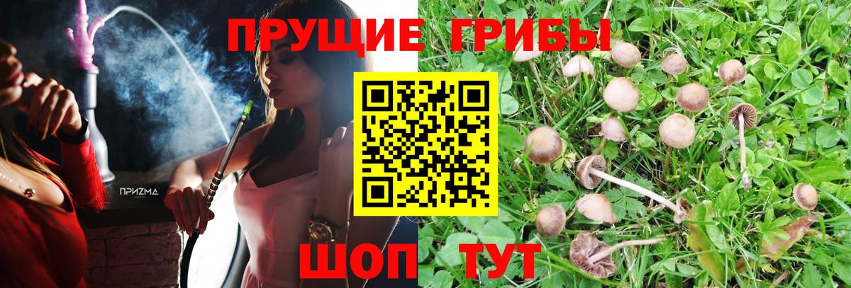 COCAIN Верхняя Пышма