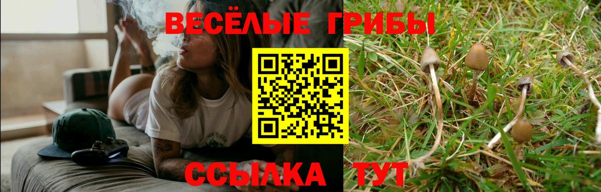 Галлюциногенные грибы мицелий  Вход с VPN  Верхняя Пышма  Галлюциногенные грибы ЛСД 